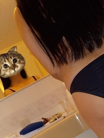確信体験...