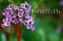 お礼日記