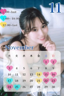 11月の会...