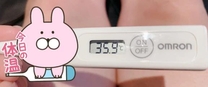 今日の体温