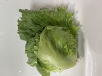͂悤...