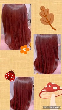 ����̕�...