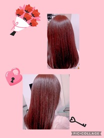 �u���O�摜