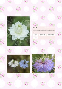 �u���O�摜