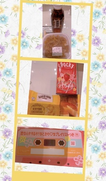 �u���O�摜