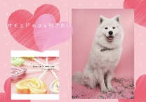 �u���O�摜