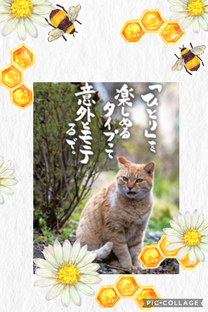 �u���O�摜