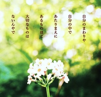 �u���O�摜