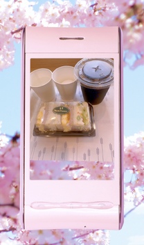 �u���O�摜