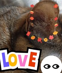 �����Ȃ�...