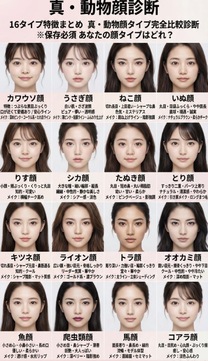 �ǂ̊炪�^�C�v??