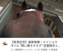 ���ε����β���