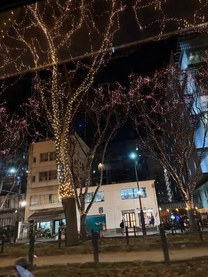 �u���O�摜