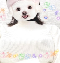 �u���O�摜