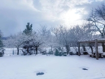 �u���O�摜