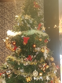 �u���O�摜