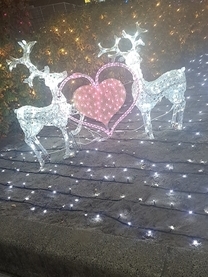 �u���O�摜