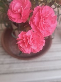 ͂悤...