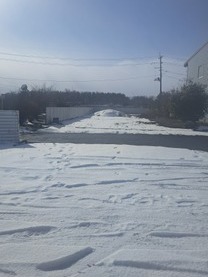 ���A���X�ɂ��܂��I