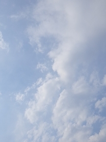 AXɂ܂I