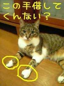 �u���O�摜