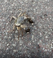 ���m�点????