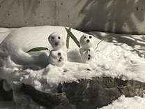 ?��������...