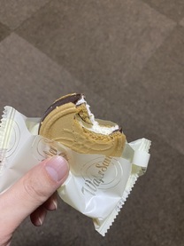 �u���O�摜