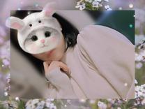 �u���O�摜