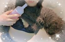 �u���O�摜