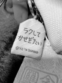 �u���O�摜