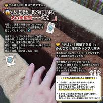 �u���O�摜