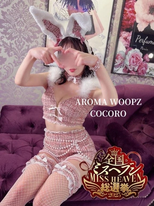 COCORO--˾Ĥο嵭1μ̿