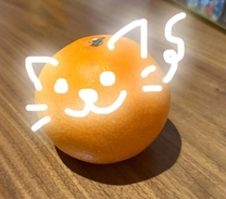 ���ε����β���