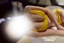 ���ε����β���