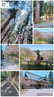 �u���O�摜