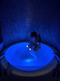 �u���O�摜