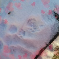 ���ε����β���