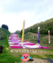 �u���O�摜