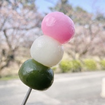 �u���O�摜