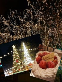 ���ε����β���