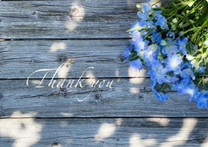 ����΂�� 🌙.*�̉摜