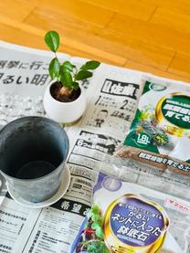 �u���O�摜