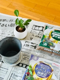 �u���O�摜