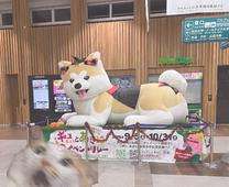 �u���O�摜