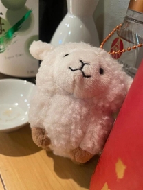 �u���O�摜