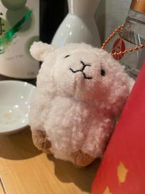 �u���O�摜