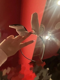 �u���O�摜