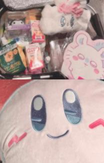 �u���O�摜