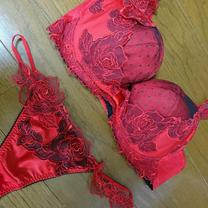 �u���O�摜